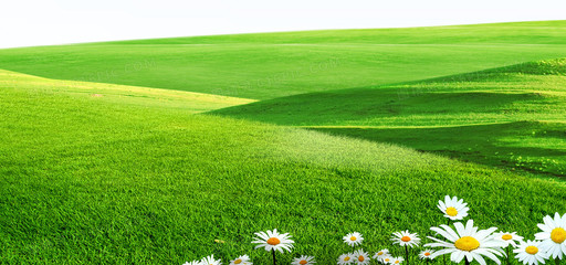 绿色草地背景背景图片下载_1920x900像素JPG格式_编号vrgfjgn51_图精灵
